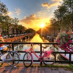Spend a week exploring the Benelux capitals, starting in Amsterdam