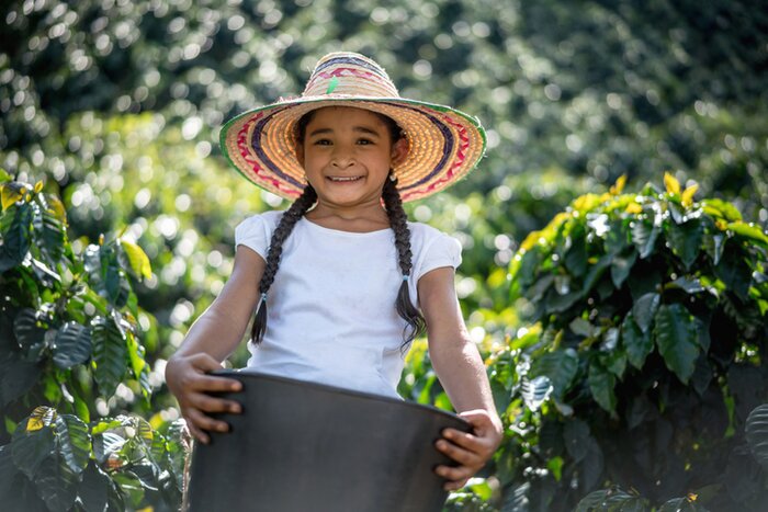 Join in on a coffee farm in Colombia