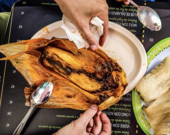 Bike Tour : Mexico Is Not Only Tacos