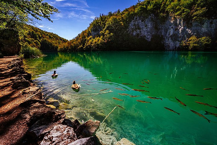 Day Trip to Plitvice National Park from Split