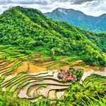Jewel-like rice terraces blanket the northern region of Luzon