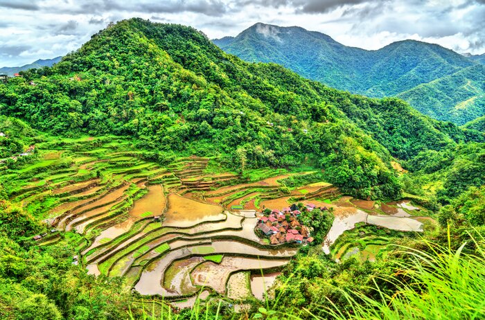 Jewel-like rice terraces blanket the northern region of Luzon