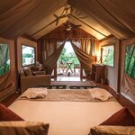 Search for wildlife while staying at a luxury lodge in the Galápagos (photo courtesy of Galápagos Safari Camp)