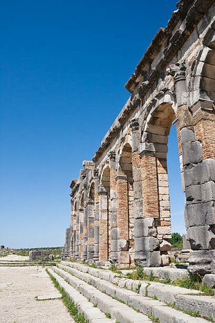 Guided Tour of Volubilis Roman ruins