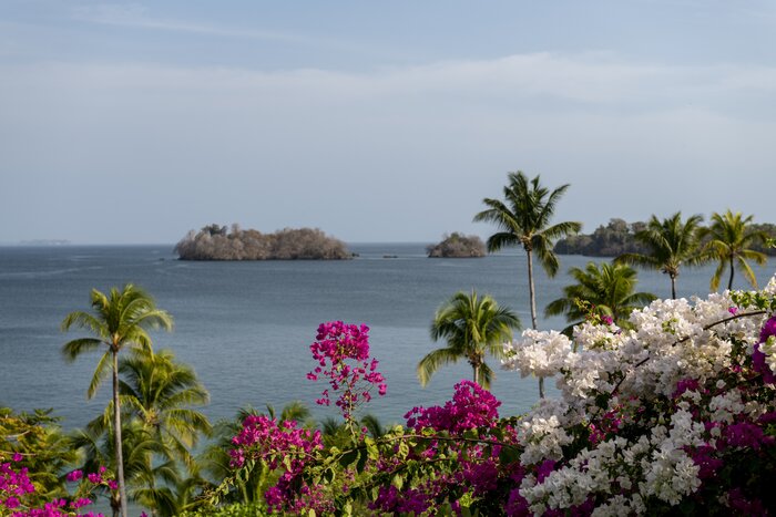 Bask in the colorful tropical paradise of Panama's Pearl Islands