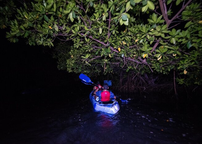 El Yunque Rainforest and Bio Bay Kayak Tour
