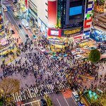 Take to Tokyo's iconic streets and walk Shibuya's busiest pedestrian crossing