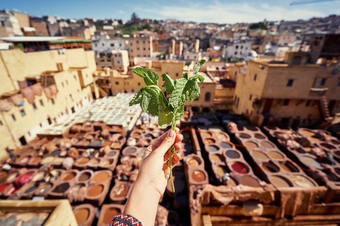 A Day Immersed in the Traditions of Fes