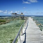 Discover Siargao and take a surf lesson in the Philippines surf capital or watch surfers from iconic Cloud 9 Beach