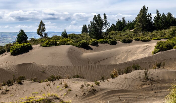 See varied landscapes like the Palmira dunes on a trip from Quito to Guayaquil
