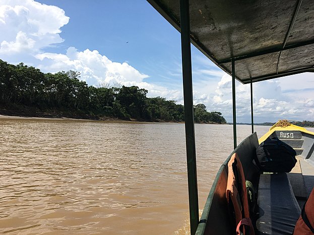 EcoAmazonia  Lodge - Sandoval Lake 3/3 & Flight to Cusco