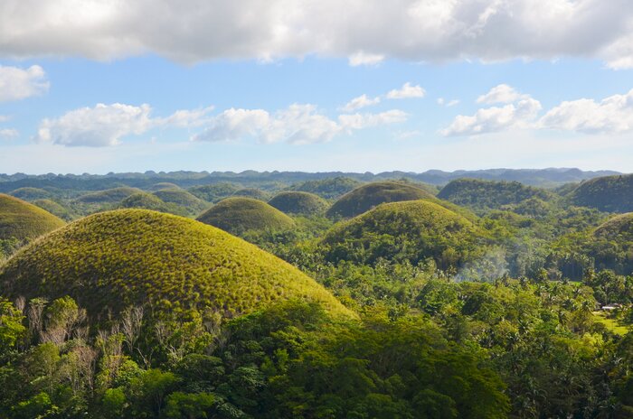 Full- Day  Chocolate Hills and Tarsiers Tour