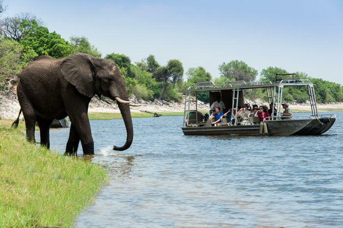 Chobe Day Trip