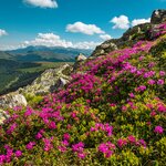 Carpathian Mountains in Romania