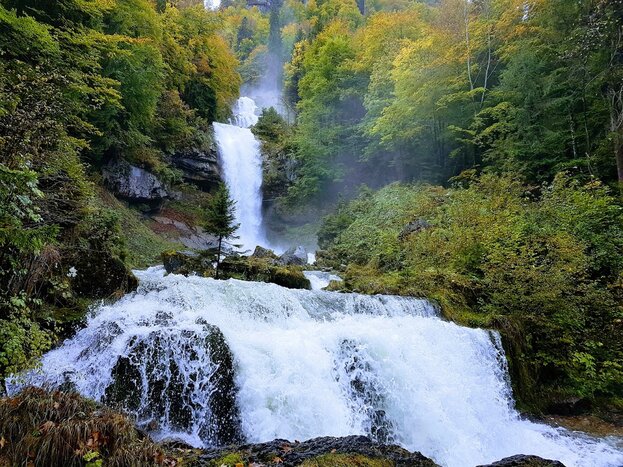 Lake, gorge  & waterfall tour around Interlaken!