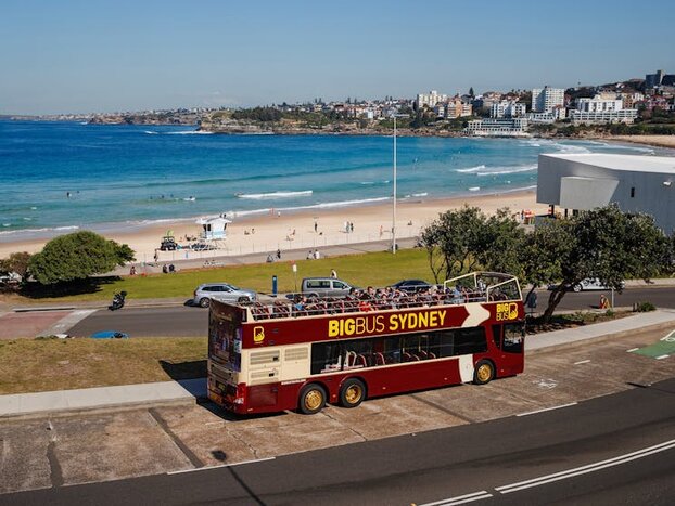 Discover - Sydney and Bondi Beach (24 Hour Ticket)