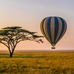 Join a balloon safari over the Serengeti