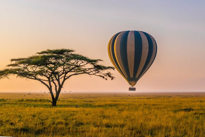 Join a balloon safari over the Serengeti