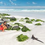 Meet wildlife on eight islands in less than a week