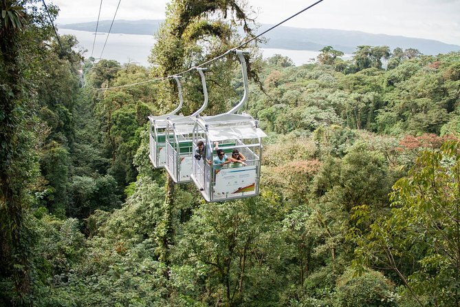 Self-Guided Hanging Bridges & Aerial Tram
