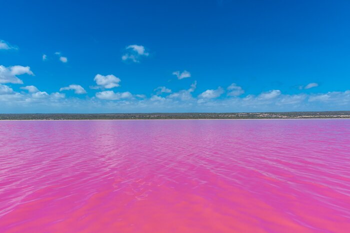 Take in the unusual pink lake of Hutt Lagoon at Port Gregory in Western Australia