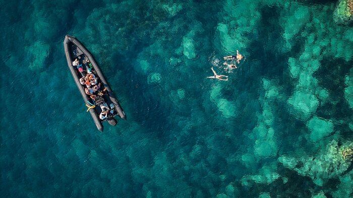 Speed Boat Tour on the Coast