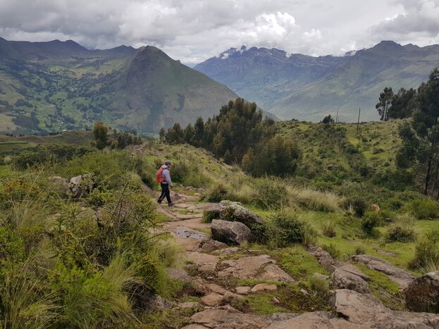 Discover Traditional Farming in the Andes: Amaru & Pisac arqueological site 
