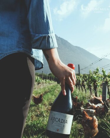 Full Day Quintero Coastal Experience + Visit to Aconcagua Farms