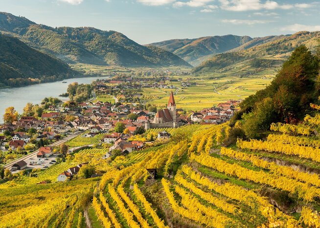 Wachau Valley Winery Bike tour from Vienna