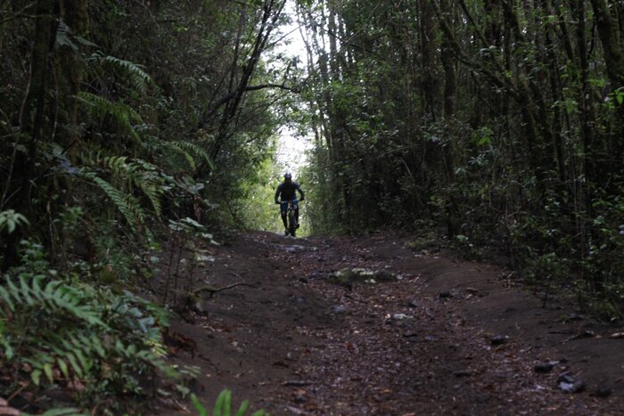 Mountain Bike Osorno Volcano, Paso Desolacion Trail 