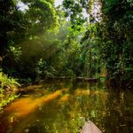 Spend three days exploring Peru's Amazon region on a luxury cruise (photo courtesy of Delfin Amazon Cruises)