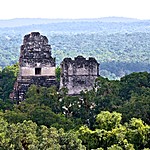 Marvel at the Great Jaguar temple in Guatemala's Tikal National Park