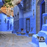 Wander the blue-hued streets of charming Chefchaouen in the north of Morocco