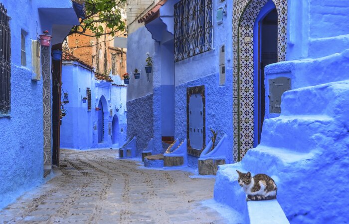 Wander the blue-hued streets of charming Chefchaouen in the north of Morocco