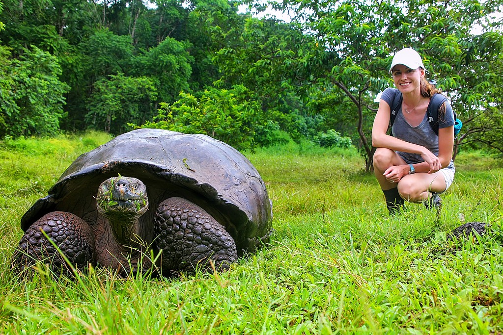 See giant tortoises up close in the highlands of Santa Cruz