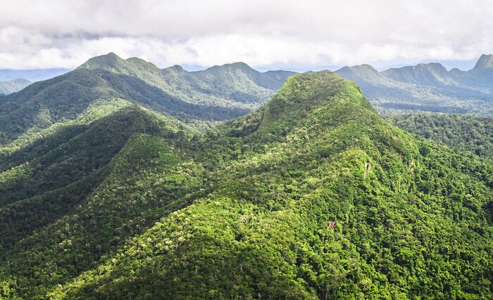 Cockscomb Basin in Belize