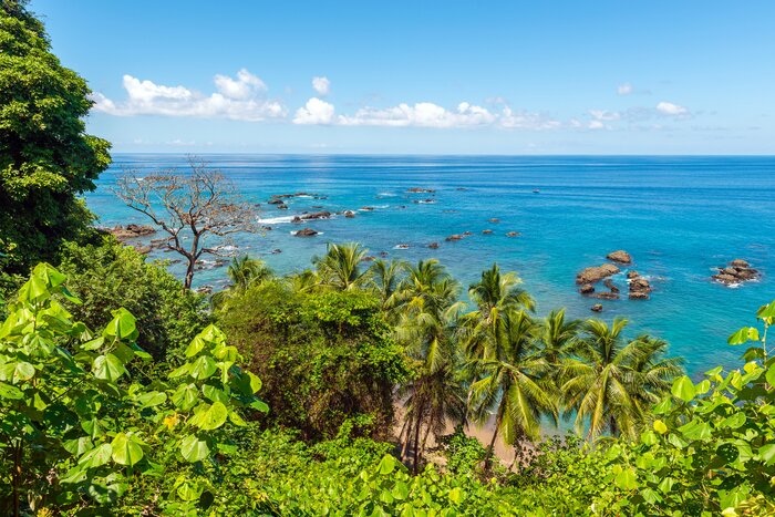 Venture to Caño Island Biological Reserve in February