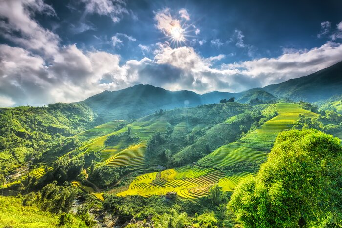 Trek amid the rice terraces in the highlands of Sapa, Vietnam