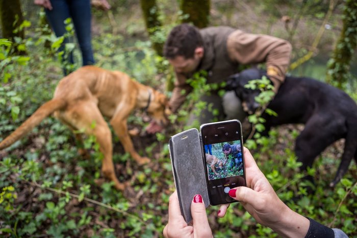Truffle Hunting Experience