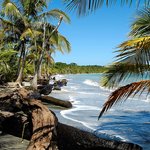 Explore nature and spot endemic wildlife as you snorkel and hike Cahuita National Park