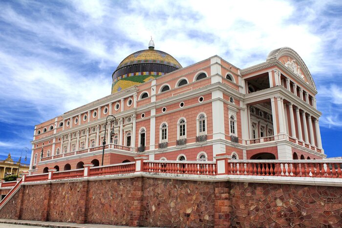 Visit Manaus and check out the Teatro Amazonas on a guided city tour