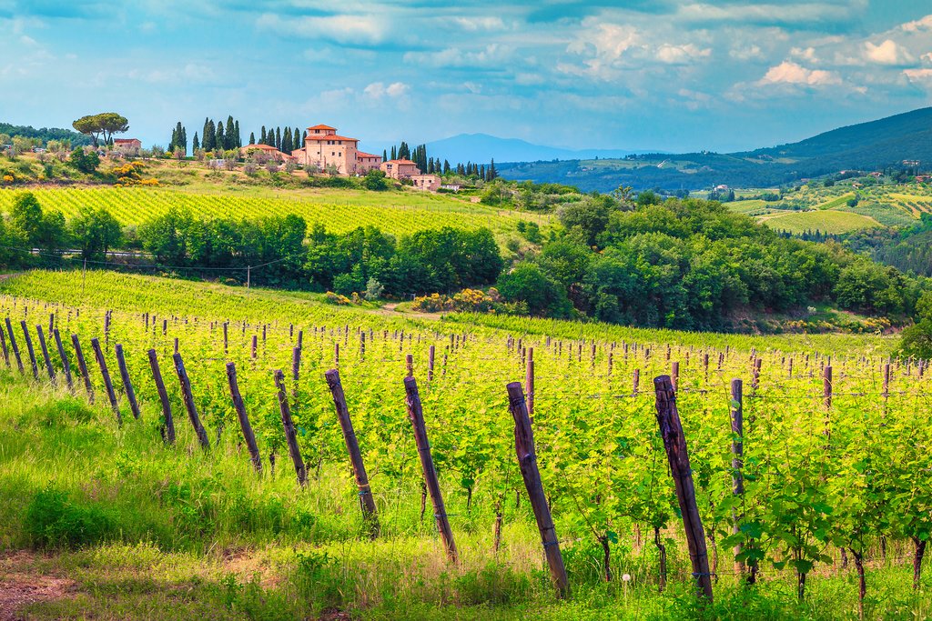 The Tuscan countryside