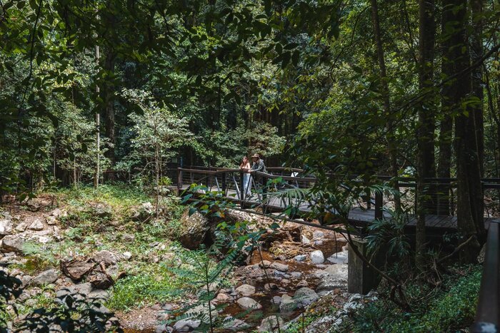 Springbook & Tamborine Rainforest Tour