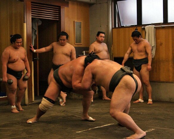 Exclusive Sumo Practice Tour: Unveil Japan’s National Sport