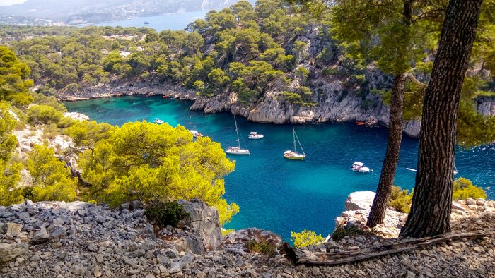 Half-Day Cruise to Calanques National Park - private group