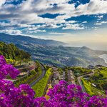 Madeira's colorful coastline