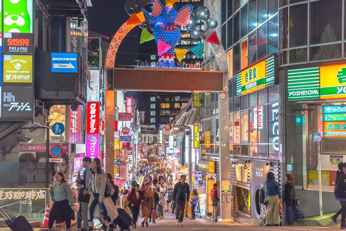 Local Private Guide Half Day Tokyo 