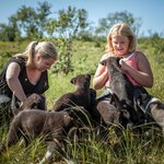 There's plenty of time for cuddles during the visit (photo courtesy of Tromsø Villmarkssenter)