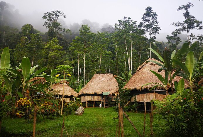 Bribri Indigenous One Day Experience 