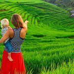 Visit Bali's verdant green Jatiluwih Rice Terraces with the kids in tow